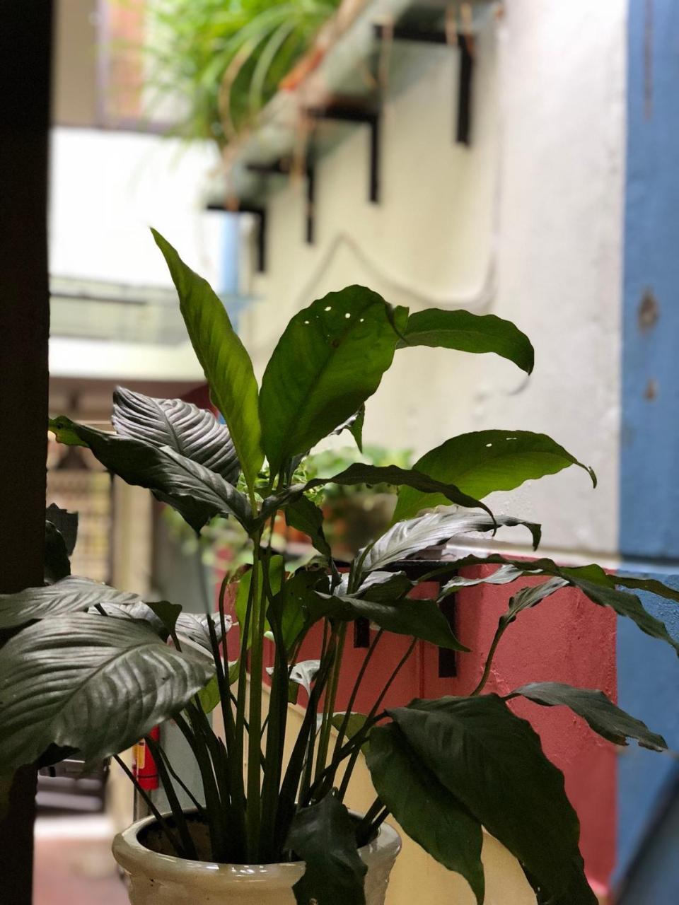 La Ventana Modern House Apartment Hai Phong Luaran gambar